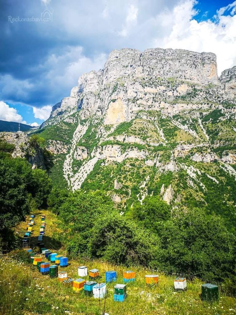 PAPIGIOTIKO BIO Jedlový med z Dodoni (Epirus) 350g - Obrázek 4