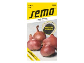 AgroBio Cibule šalotka Camelot F1 50 s