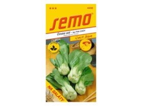 AgroBio Čínské zelí typu PAK - CHOY 0,4 g