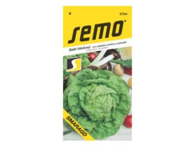 AgroBio Salát hlávkový Smaragd 0,4 g