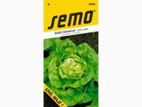 AgroBio Salát KRÁL MÁJE 1 0,4 g