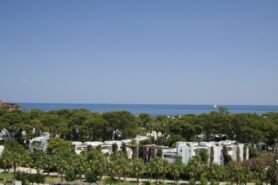Emelda Sun Club