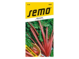 AgroBio Mangold Rhubarb Chard 3 g