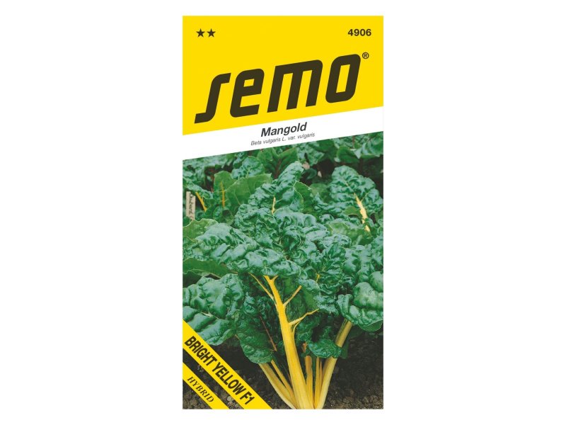 AgroBio Mangold Bright yellow F1