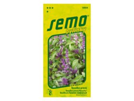 AgroBio Bazalka Cinamonette skořicová  0,7 g