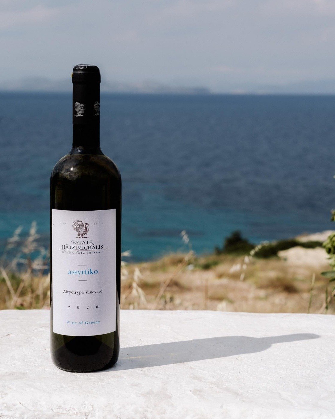 Domaine Hatzimichalis Hadzimichalis bílé víno Assyrtiko suché 2023 13,5% 750ml - Obrázek 2
