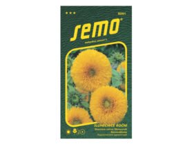 AgroBio Slunečnice roční Teddy Bear 1 g