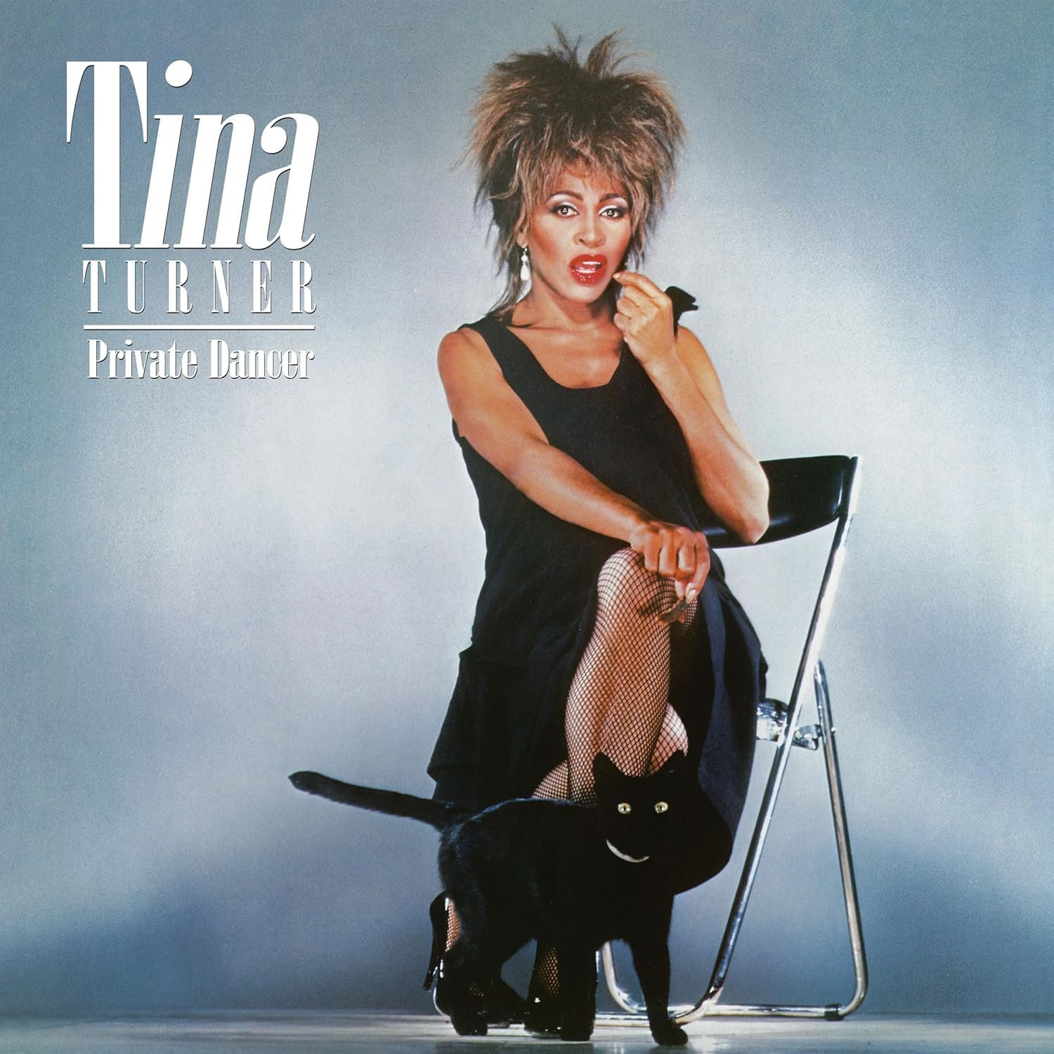 Turner Tina: Private Dancer / Anniversary / Box