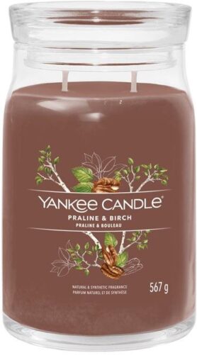 YANKEE CANDLE Signature sklo 2 knoty Praline & Birch 567 g
