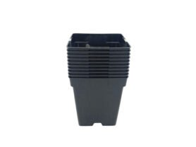 AgroBio Kontejner pevný 11x11x12 cm 10 ks