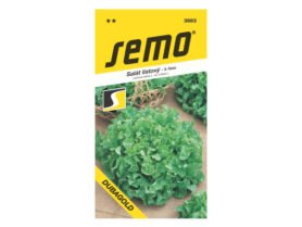 AgroBio Salát listový Dubagold 0,6 g