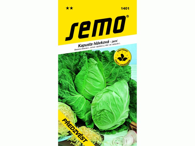 AgroBio Kapusta hlávková PŘEDZVĚST - raná 1 g