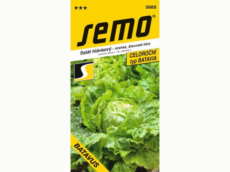 AgroBio Salát BATAVUS 0,6 g