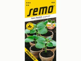 AgroBio Podnož pro okurky FÍKOLISTÁ  15 semen