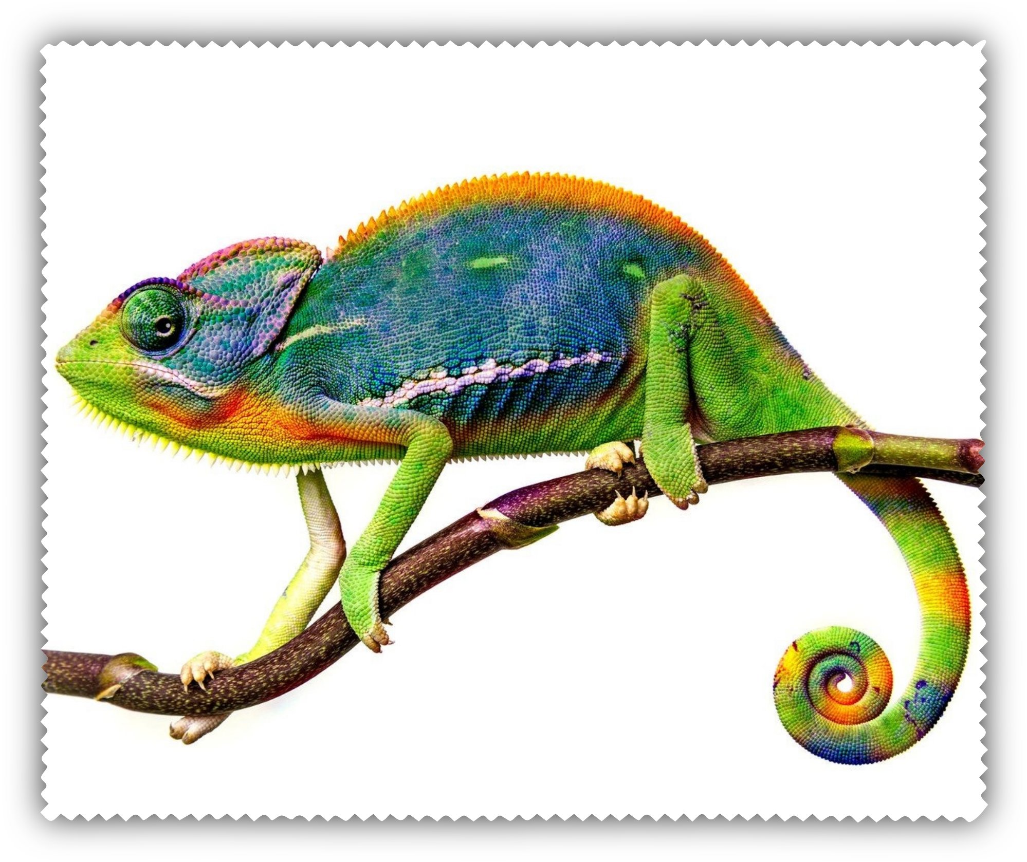 Coolkousky Čistící hadřík Chameleon