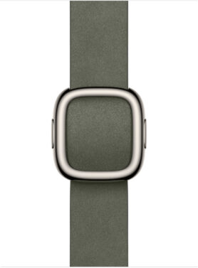Apple Watch 42mm šalvějově šedý s moderní přezkou - Medium