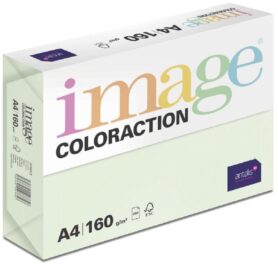 Antalis Barevný papír Jungle / pastelově světle zelený A4 / 160 g / 250 ks
