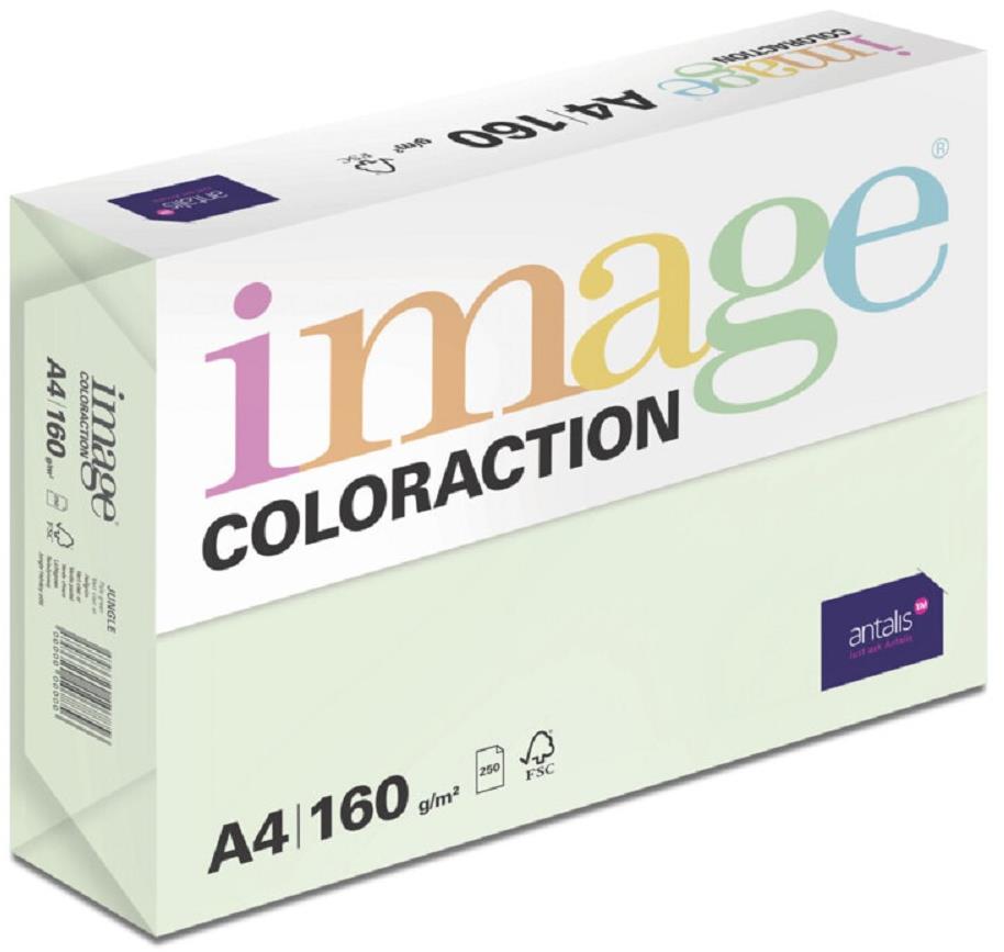 Antalis Barevný papír Jungle / pastelově světle zelený A4 / 160 g / 250 ks