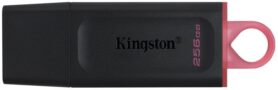 Kingston DataTraveler Exodia 256GB