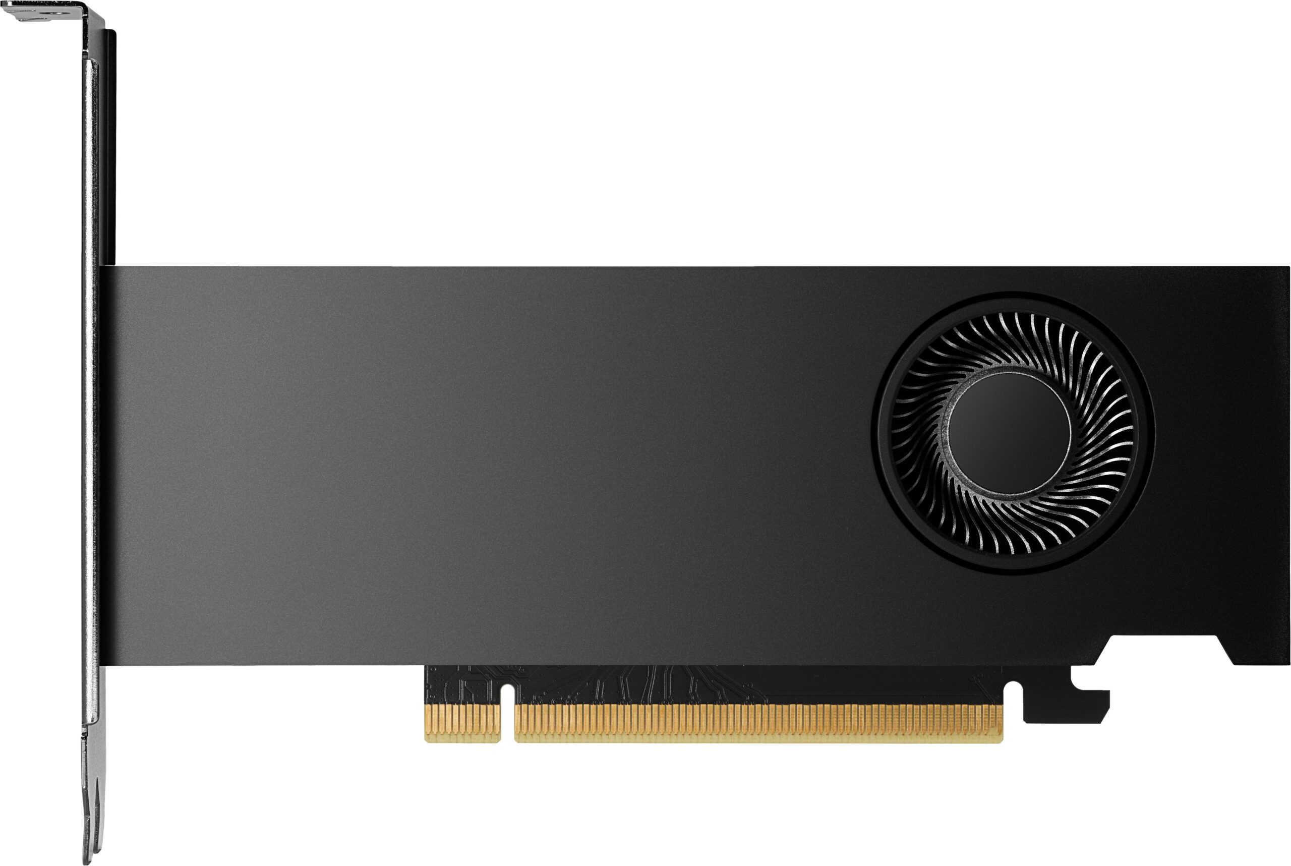 HP NVIDIA RTX 2000 Ada 16 GB 4mDP Graphics