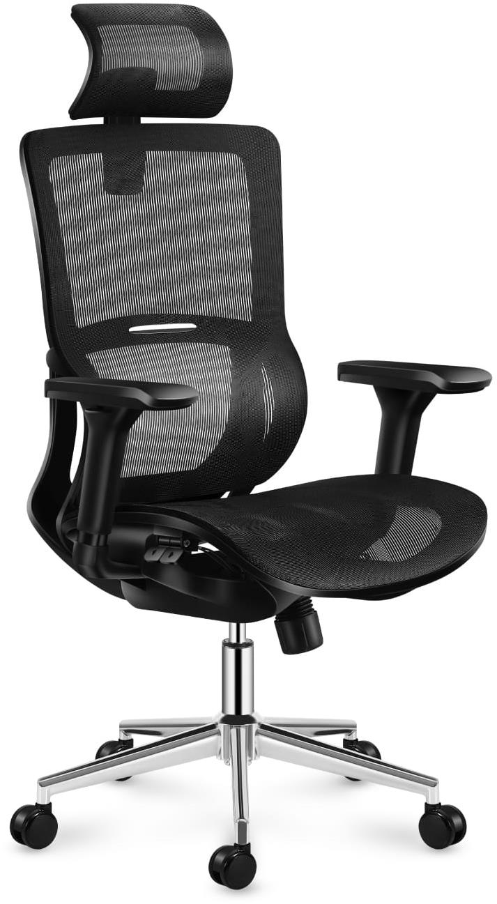 MARK ADLER Expert 6.2