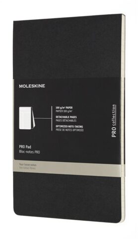 MOLESKINE Professional L, linkovaný, černý