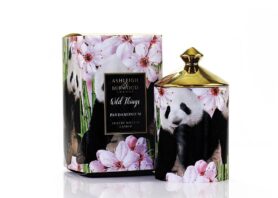 ASHLEIGH & BURWOOD WILD THINGS - GREEN BAMBOO (zelený bambus), 320 g, PANDAMONIUM