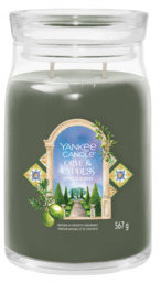 YANKEE CANDLE Olive & Cypress 567 g