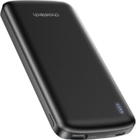 Choetech 12W 10000mAh Power Bank